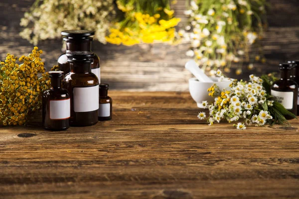 Medicina natural, Medicina herbal —  Fotos de Stock