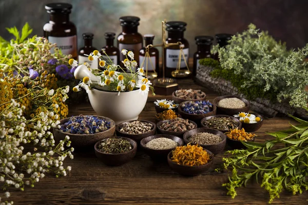 Gyógyító gyógynövények, természetes gyógymódok — Stock Fotó