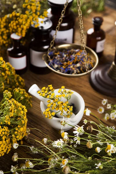 Herbal medicine on wooden desk — Stock Photo, Image