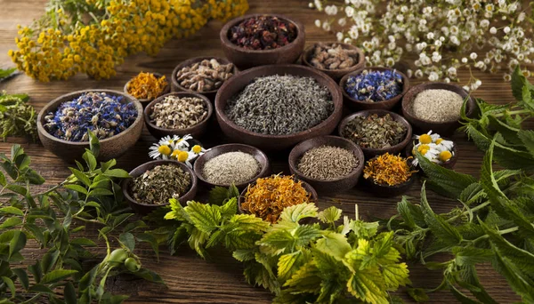 Medicina natural, Medicina herbal Fotos De Bancos De Imagens Sem Royalties