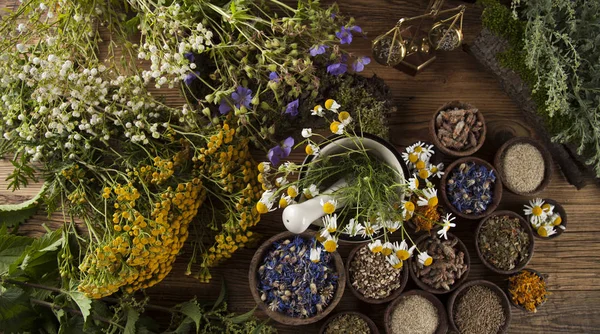 Healing herbs on wooden table — Stock Photo, Image