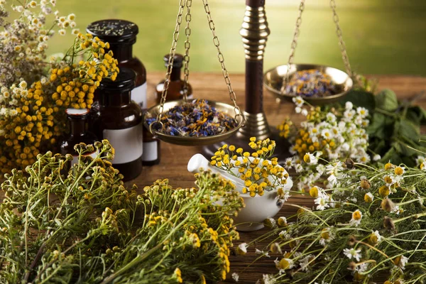 Medicina natural, Medicina herbal — Foto de Stock