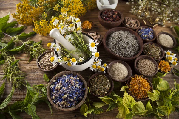 Gyógyító gyógynövények, természetes gyógymódok — Stock Fotó