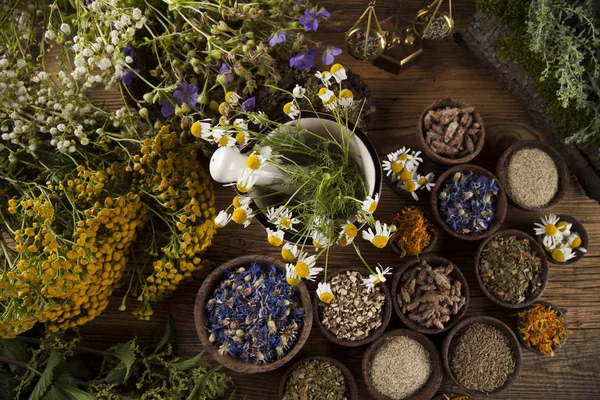 Medicină pe bază de plante pe birou de lemn — Fotografie, imagine de stoc