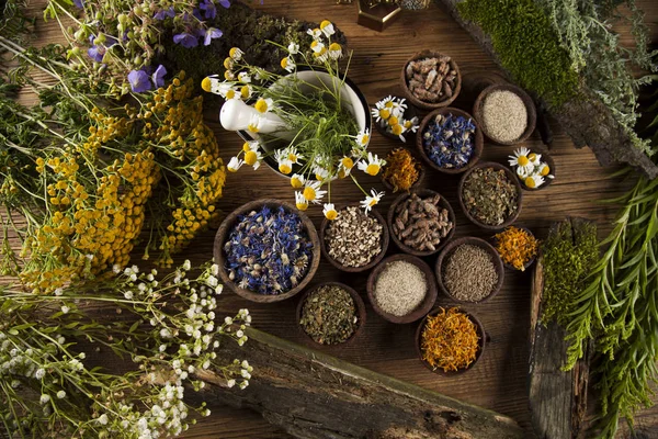 Ervas curativas na mesa de madeira — Fotografia de Stock