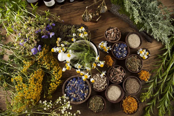 Herbes de guérison sur table en bois — Photo