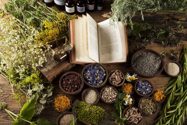 Healing herbs, Natural medicine — Stock Photo, Image