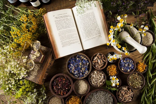 Ervas curativas, medicina natural — Fotografia de Stock