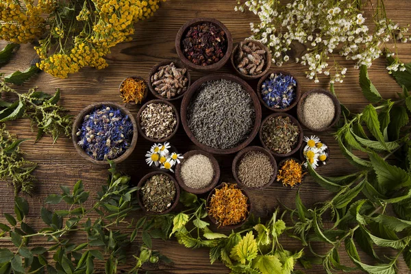 Natural medicine, Herbal medicine — Stock Photo, Image