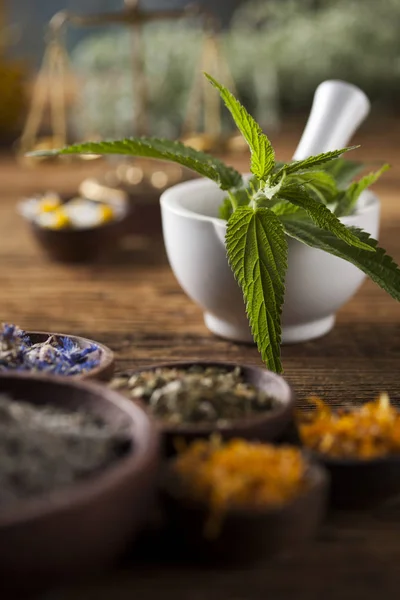 Medicina natural, Medicina herbal — Fotografia de Stock