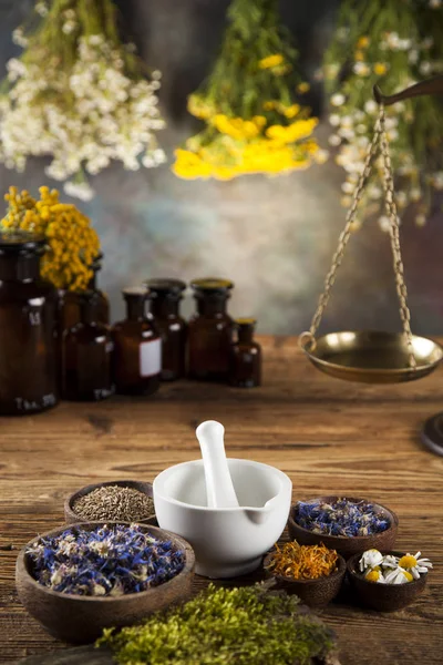 Heilkräuter, natürliche Medizin — Stockfoto