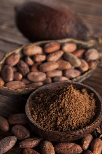 Vaina de cacao y granos de cacao — Foto de Stock