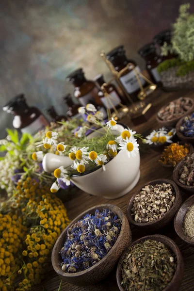 Θεραπευτικά βότανα στο ξύλινο τραπέζι — Φωτογραφία Αρχείου