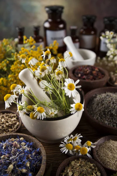 Ervas medicinais na mesa — Fotografia de Stock