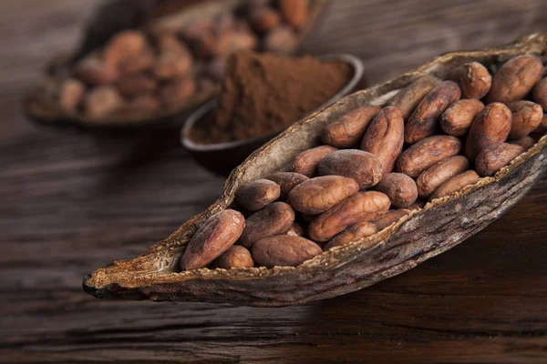 Какао-стручок и бобы какао — стоковое фото