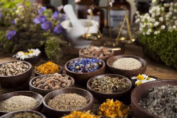 Herbes de guérison sur table en bois — Photo