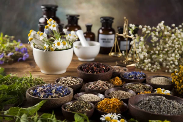 Alternative medicine, dried herbs — Stock Photo, Image