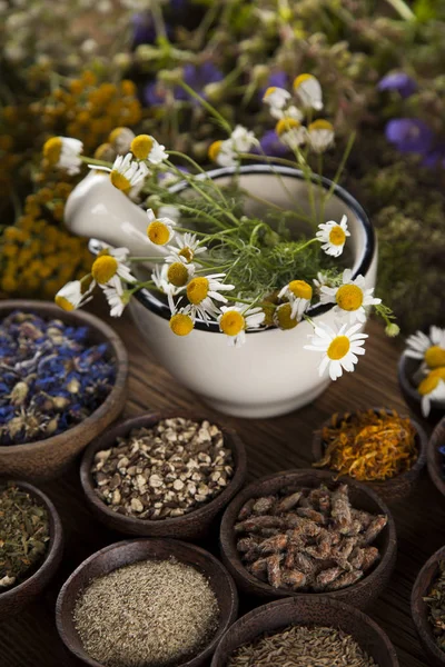 Helande örter på träbord — Stockfoto