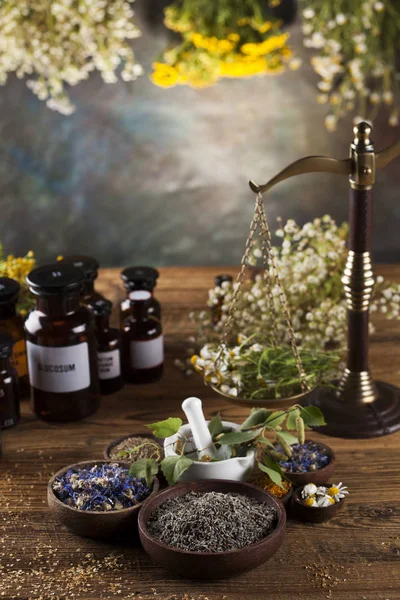 Herbal, beri dan bunga — Stok Foto