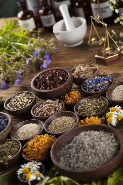 Alternative medicine, dried herbs — Stock Photo, Image