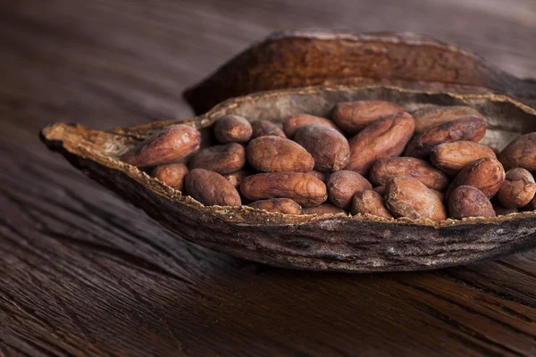 Vaina de cacao en mesa de madera —  Fotos de Stock