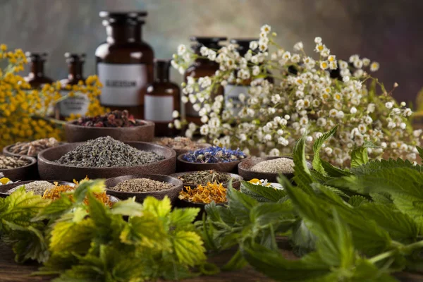 Medicina pe bază de plante pe masă — Fotografie, imagine de stoc