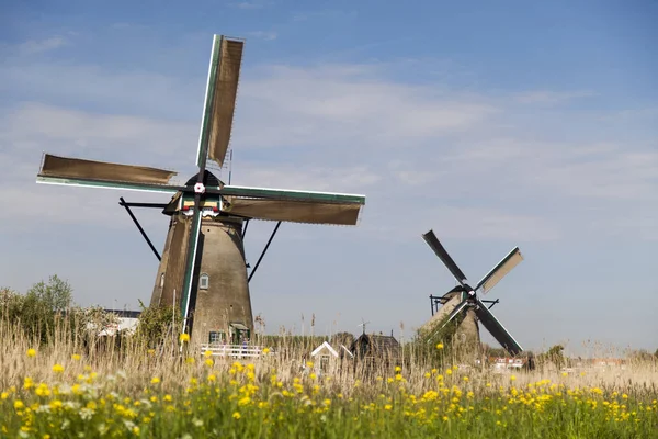 Wiatraki w Kinderdijk w Holandii — Zdjęcie stockowe