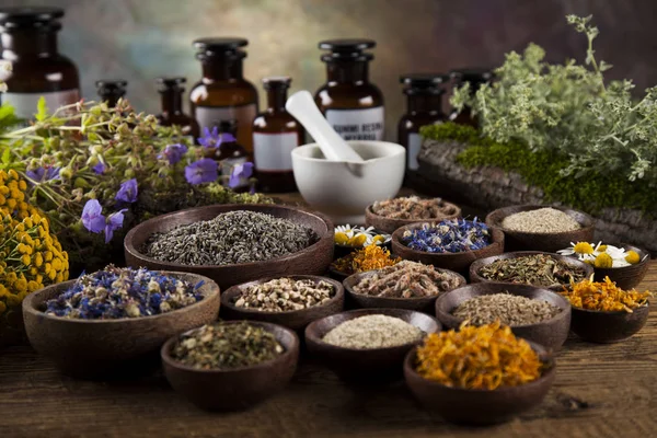 Kräutermedizin auf dem Tisch — Stockfoto