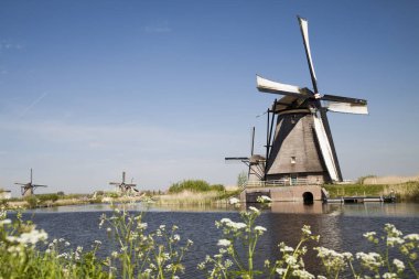 Doğal Hollanda'daki yel değirmenleri