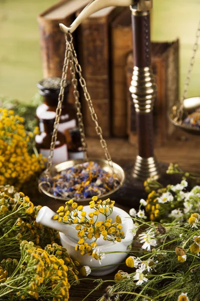Herbal medicine on wooden desk background — Stock Photo, Image