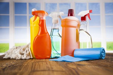 Ev temizlik ürünleri