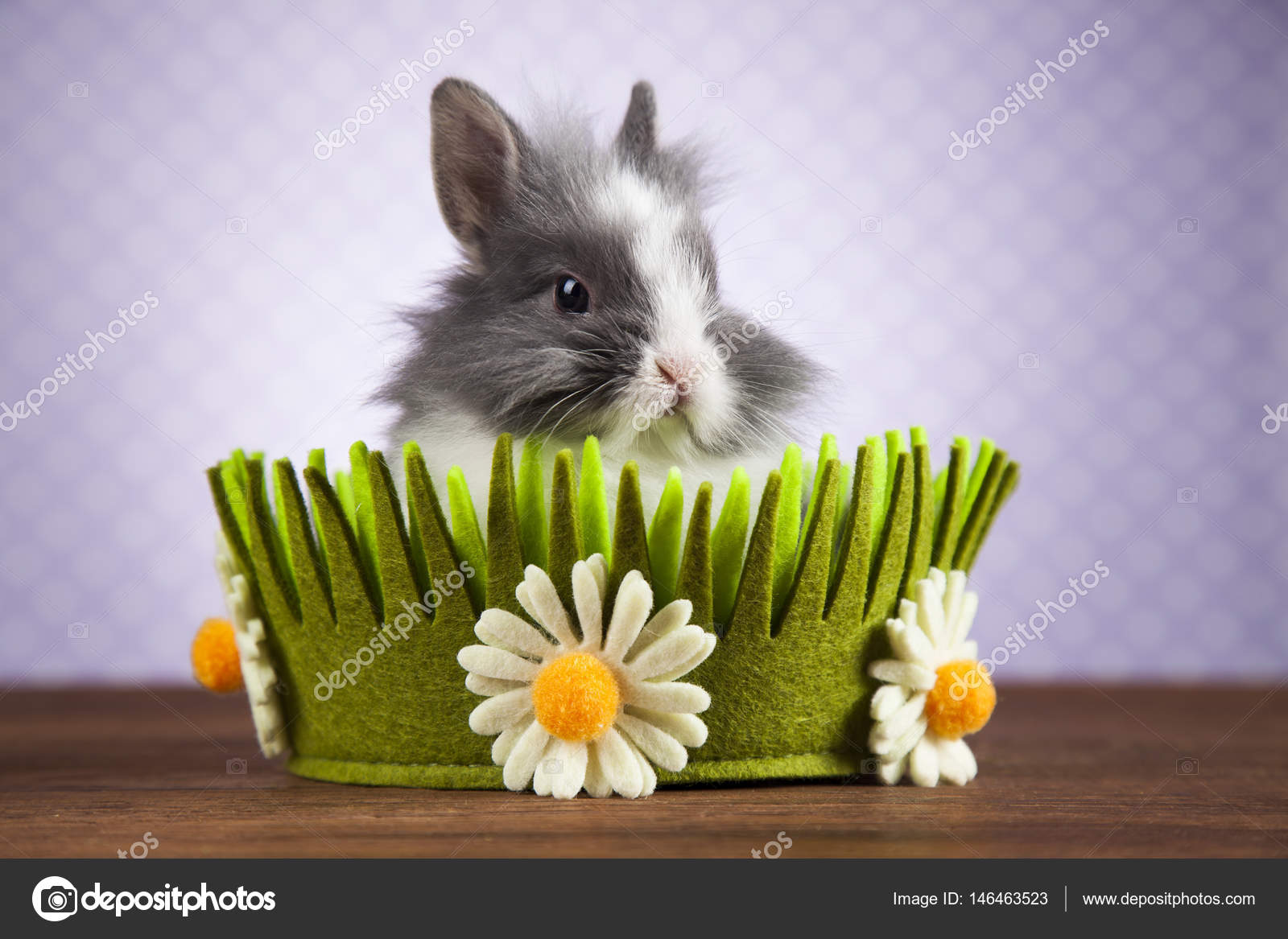 Mignon Lapin Bebe Image Libre De Droit Par Janpietruszka C Mignon Lapin Bebe Image Libre De Droit Par Janpietruszka C