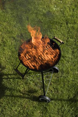 Doğa yangın Barbekü Izgara