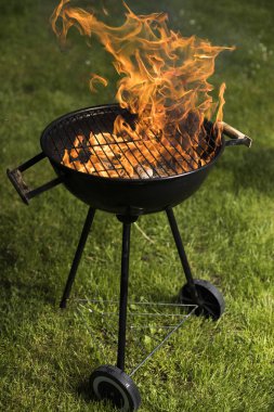 Çeşitli ızgara et