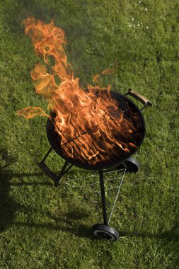 Yaz ızgara kavramı