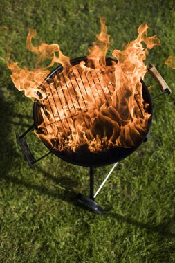 Yaz ızgara kavramı