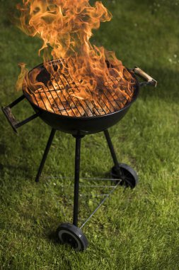 Çeşitli ızgara et