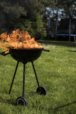 Doğa yangın Barbekü Izgara