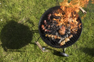 Doğa yangın Barbekü Izgara