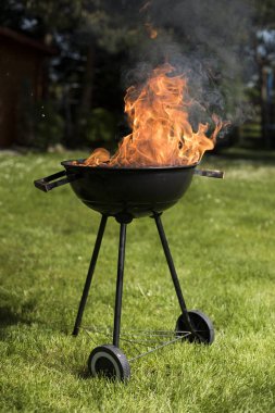 Doğa yangın Barbekü Izgara