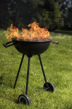 Doğa yangın Barbekü Izgara