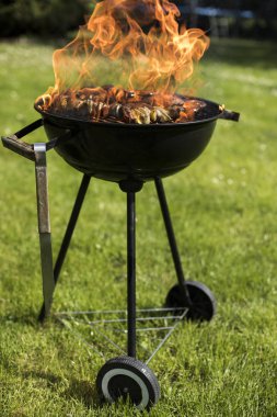 Yaz ızgara kavramı