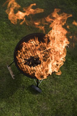 Doğa yangın Barbekü Izgara