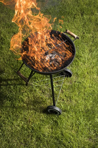 Barbecue grill with fire on nature — Stock Photo, Image