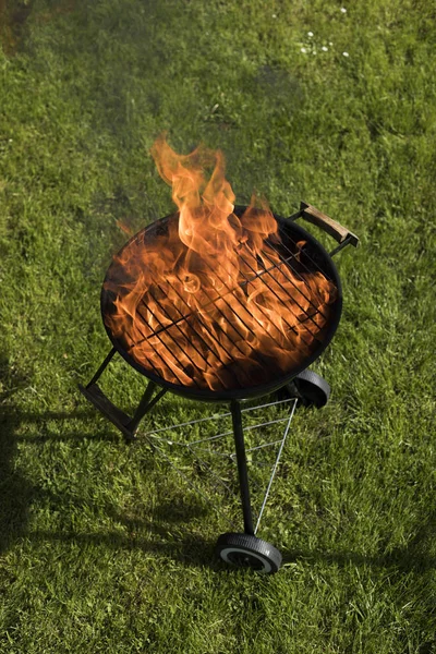 Grillen med eld på naturen — Stockfoto
