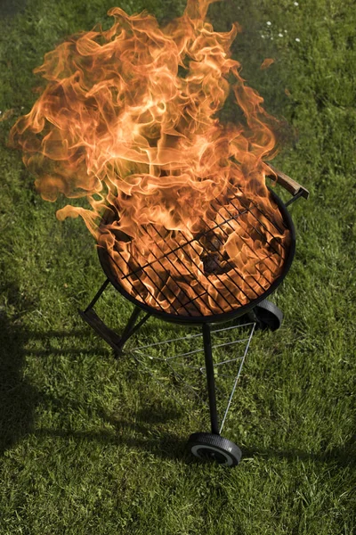 Concept van zomer grillen — Stockfoto