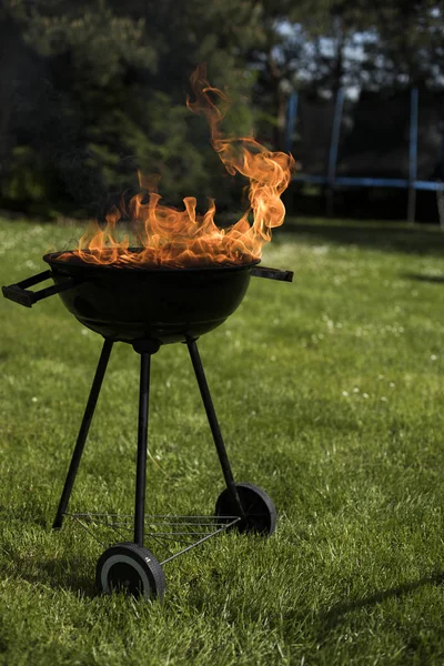 Doğa yangın Barbekü Izgara