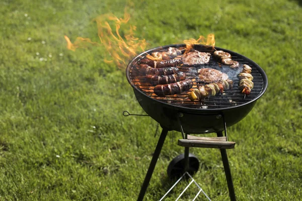 Carne grelhada variada — Fotografia de Stock