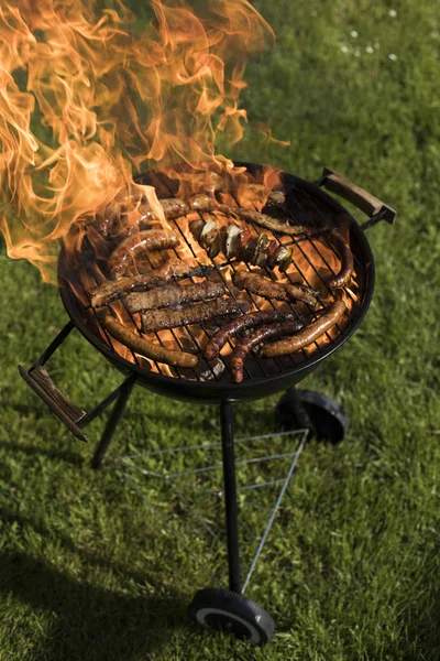 Carne grelhada variada Fotos De Bancos De Imagens Sem Royalties