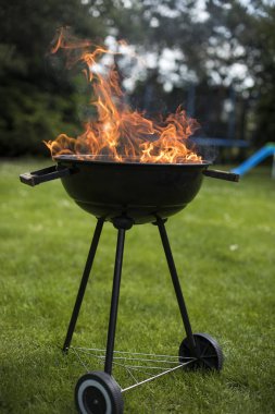 Doğa yangın Barbekü Izgara